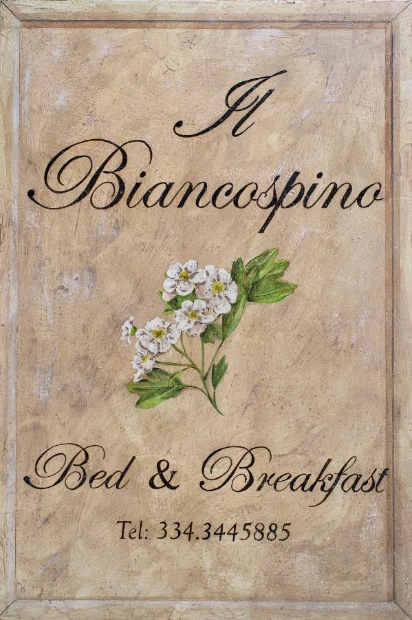 B&B Il Biancospino Abbadia San Salvator Exterior foto